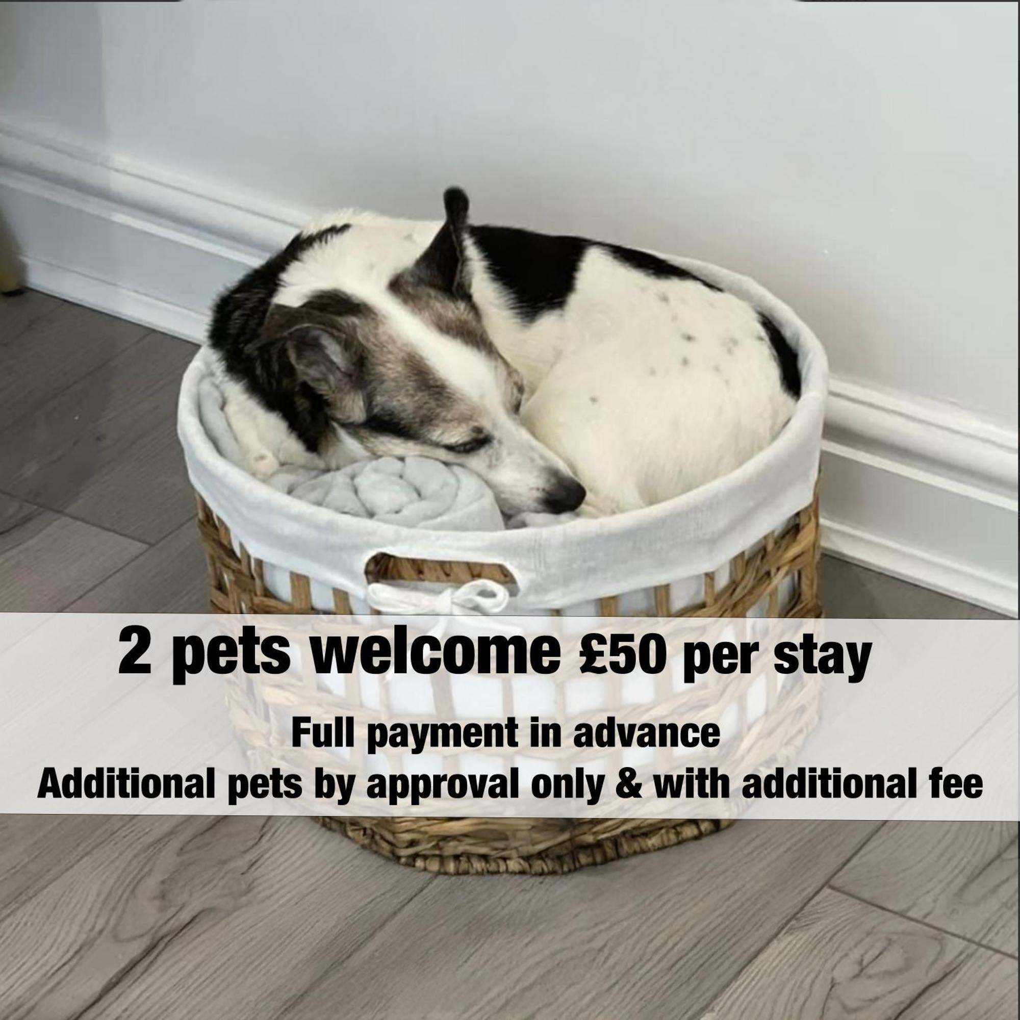 Norton Terrace Charming Home In The Beautiful Afan Forest By Staystaycations Port Talbot Eksteriør billede